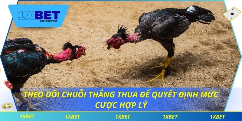 Theo dõi chuỗi thắng thua để quyết định mức cược hợp lý