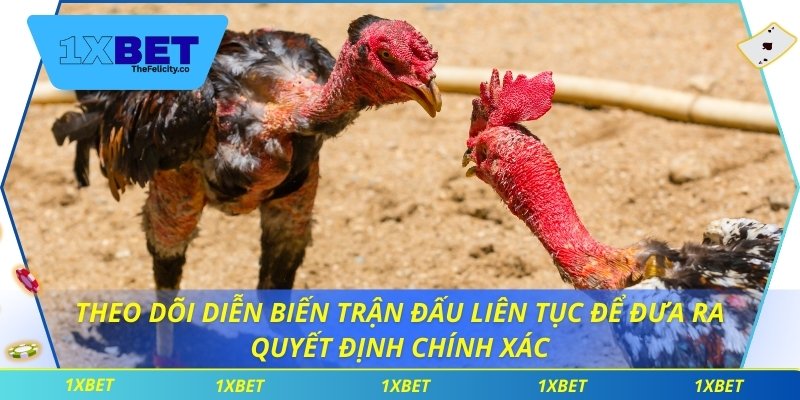 Theo dõi diễn biến trận đấu liên tục để đưa ra quyết định chính xác
